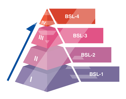 BSL Pyramid